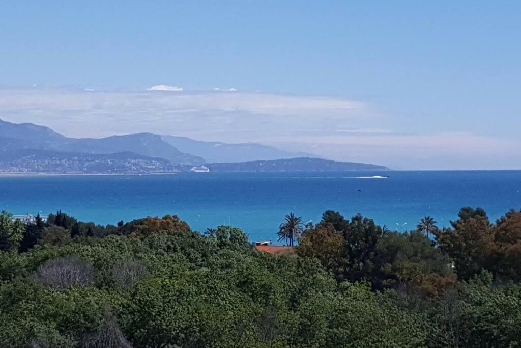 Superbe Appartement, Piscine, Vue Mer Et Montagnes أنتيب المظهر الخارجي الصورة