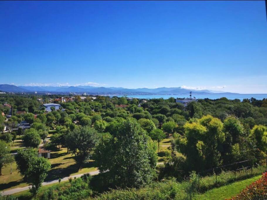 Superbe Appartement, Piscine, Vue Mer Et Montagnes أنتيب المظهر الخارجي الصورة